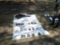 christiannguyen - PARIS - I PARK ART
