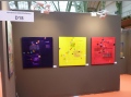 Salon des Indépendants - PARIS - GRAND PALAIS - 2013